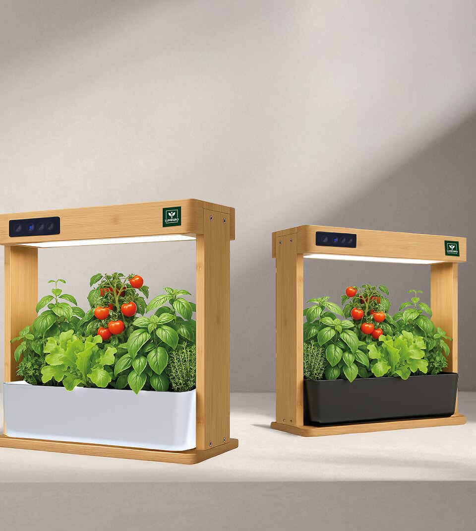 kruiden kweken binnen in huis