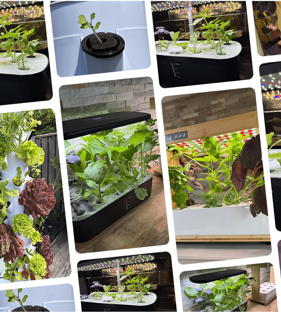 producten hydrocultuur