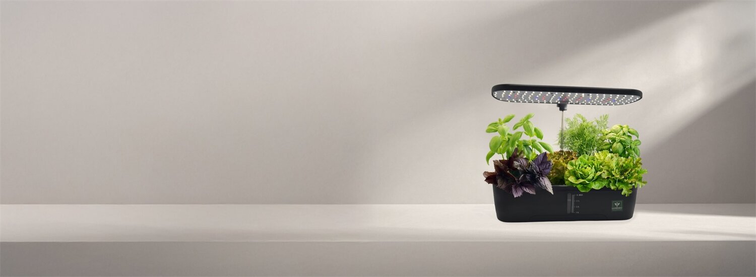 moestuin van lumegro