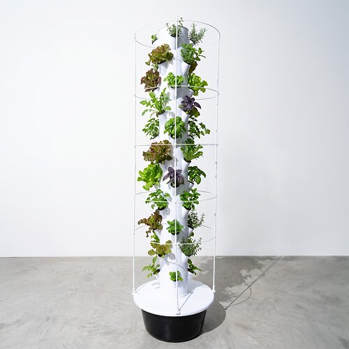 EcoTower 11 Etages met reling