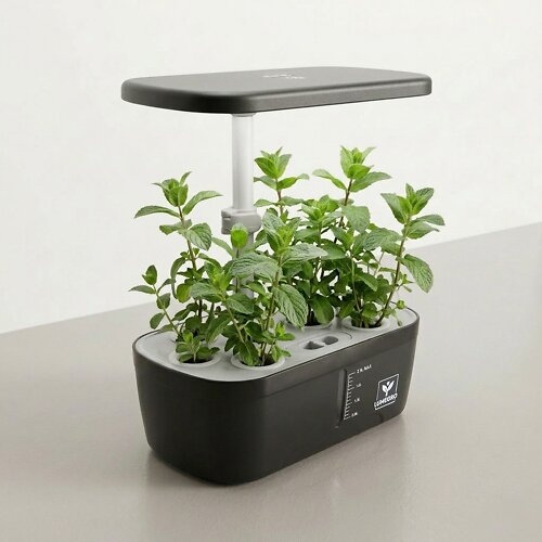 Kitchin Comfort